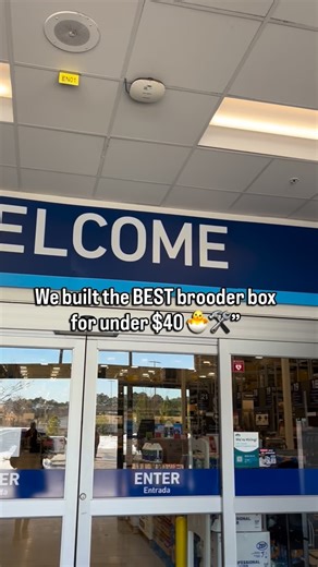 Kyria Denman 🌻 on Instagram: "New chicks meant it was time to upgrade the brooder 🐣🛠️ We ran to Lowe’s and built this whole setup for less than $40 — and I can honestly say this is a 10/10 brooder box, the best one we’ve ever done. My husband secured the wooden top with a nail pressure gun, wood glue, and the mesh we picked up (plus a little leftover hardware cloth from another project). Strong, safe, and built to last 💪 And that’s coming from someone who’s been raising chickens for over six