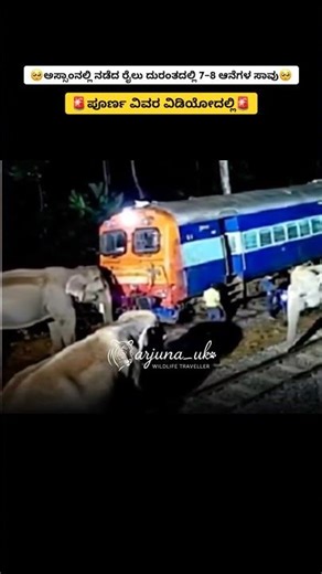 Assam Train Tragedy | 7 Elephants Killed, Baby Elephant Saved | Full Facts #shorts #elephant