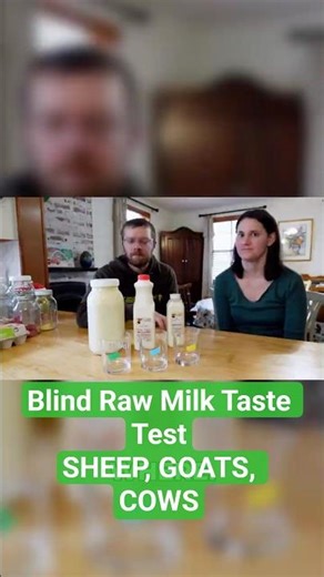 Sheep vs Goat vs Cow Raw Milk #Comparison #FoodTest #Shorts