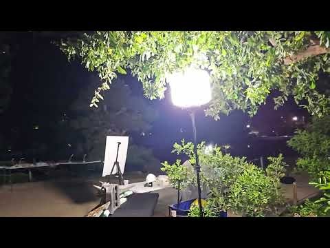 Beautiful Japanese Friendship Garden Walkthrough!
