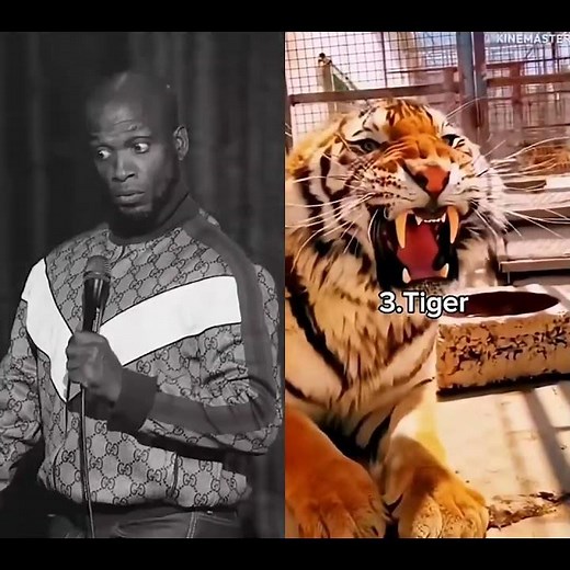 I sponsored a community shopping spree | The Domino Effect Part 2 | Ali Siddiq Stand Up Comedy