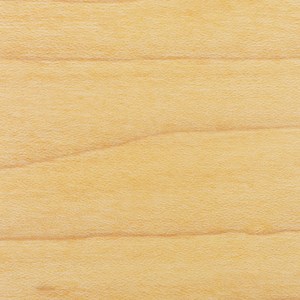 Academy Concert Toms