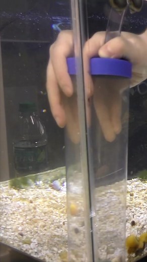 1.7M views · 10K reactions | Two tips to save time cleaning your aquarium. | Aquarium Co-Op | Facebook