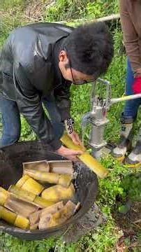 Anyone can easily make menma from bamboo shoots! From harvesting bamboo shoots straight to making...
