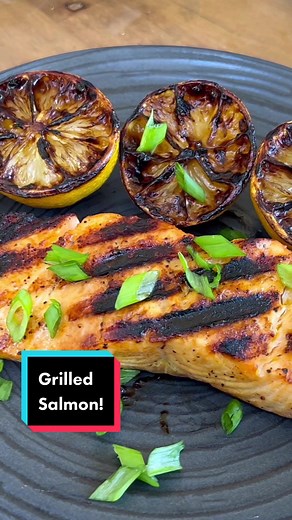 Delicious Grilled Salmon Filets on Ninja Woodfire Grill