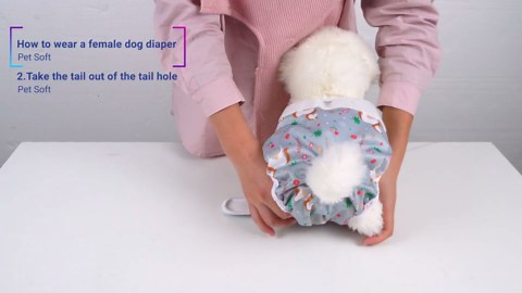 Pet Soft Female Dog Diapers, 3 Pack Washable Dog Diapers for Dogs in Heat, Reusable Dogs Period Panties, Puppy Diapers Female (Flowers, X-Large)