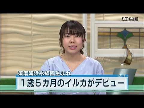 スマスイ生まれのイルカ がデビュー（2018年3月24日）