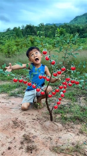 Survival bushcraft skills: SMART idea and USEFUL #bushcraft #survival #Outdoors #camping #simple | Survival Camp