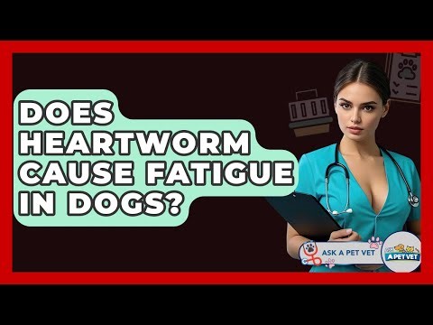Does Heartworm Cause Fatigue In Dogs? - Ask A Pet Vet