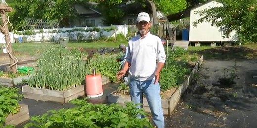 Growing Potatoes in South Carolina