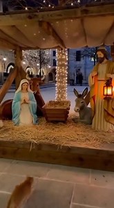 This Nativity Scene Got an Unexpected Upgrade! 🐱 (AI) | Crafty School