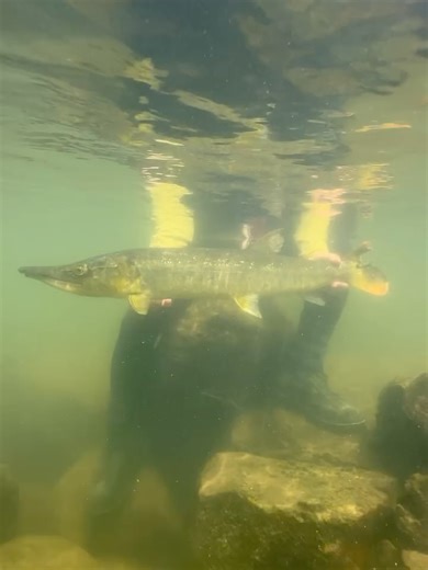 20 reactions · 3 comments | In the Loop Magazine on Reels | Facebook