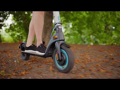 BLUEWHEEL Elektro Roller IX500