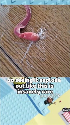 This Alien Looking Thing Is REAL 😳 #roblox #robloxrant #relatable