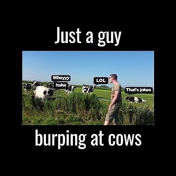 Just A Guy Burping At Cows