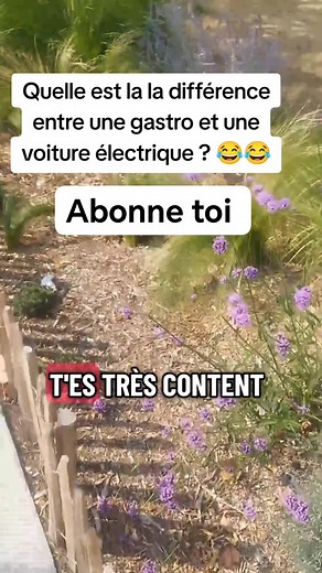 Différence entre une gastro et une voiture électrique 🤣 #sketch #humour #videos #drole #rire #fypシ #Viralシ #fypシ゚viralシ #reelsviralシ #reelsvideoシ | Kevin Carion