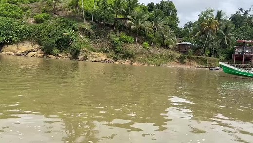 Cuentas recomendadas