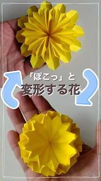 Origami [Transforming Flower] Transforms in an instant #origami #origami