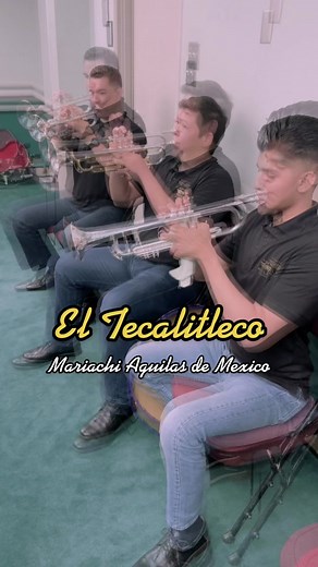 Trumpet Section 🎺🎶 #mariachiaguilasdemexico #fypシ#trompetistas #trumpetplayer #trompetistastalentosos #trumpets #mexicantiktok #culturamexicana #parati #musica #mariachi #mariachitiktok #fyp