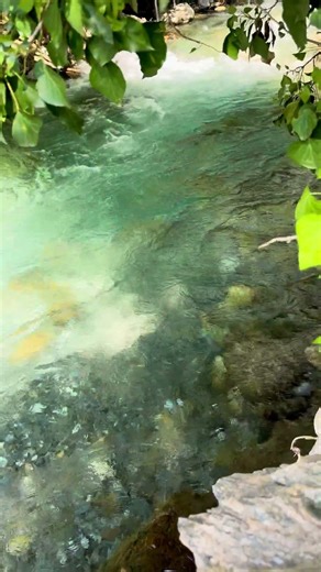 Forest Stream Sounds 🌿 Crystal Clear Water