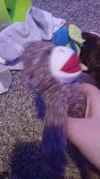 Sock Monkey Clan: The Party