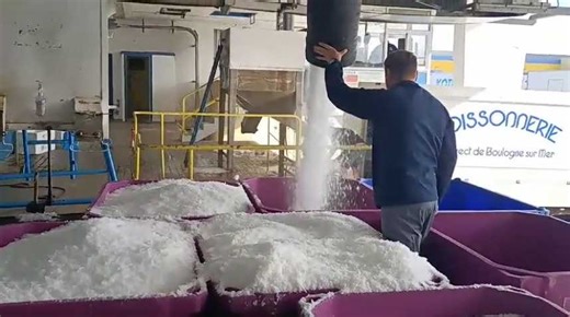 Boulogne : une série de reportages dédiés à Capécure