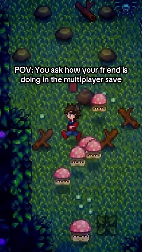 Multiplayer Adventures in Stardew Valley