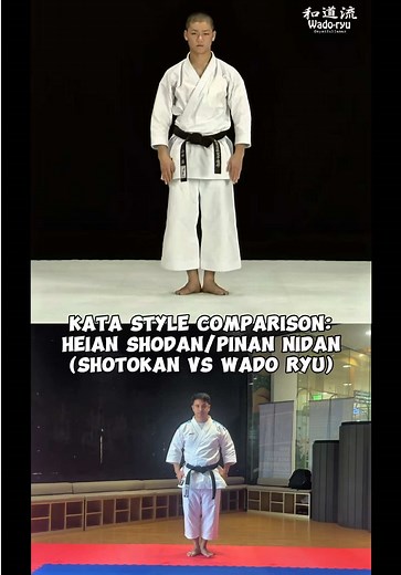 Kata Style Comparison: Heian Shodan vs Wado Ryu