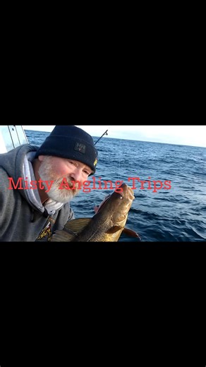 3K views · 61 reactions | Fish caught on today’s trip were Haddock,...