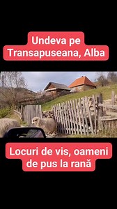 Oameni, locuri și comori pe Transapuseana, județul Alba #reels #apuseni #mountains #sat #life #advice #curiosity #forest #sheep #natura #hailadrum | Hai La Drum