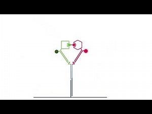 Proximity Assay for Ternary Complex Analysis