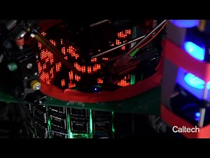 How insects control their wings: The mysterious mechanics of insect flight