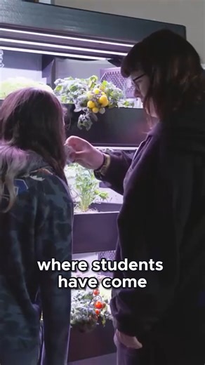 From seed to salad — students are taking learning to the next level! Les Verts Terrace indoor hydroponic garden systems support subjects like science, sustainability, and nutrition, while providing tons of fresh produce for school meals. It's hands-on learning with real-world impact.  #FutureFarmers #STEMInAction #HydroponicLearning #GreenClassroom #HealthySchools #HydroponicsInSchools #GrowToLearn #FarmToSchool #STEMeducation #HealthyKids | Les Verts Living | Facebook