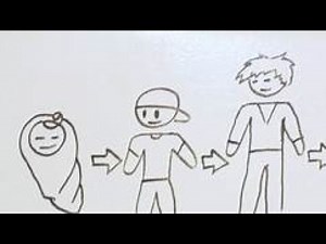 What is enterovirus D68?