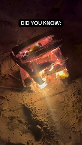 2.1K reactions · 554 shares | Autistic nervous systems tend to have neurobiological differences that amplify sensory and pain signals, also making the chronicization of pain more likely. #autism #autistic #autisticadult #autisticadults #actuallyautistic | NeuroSpark Health | Facebook