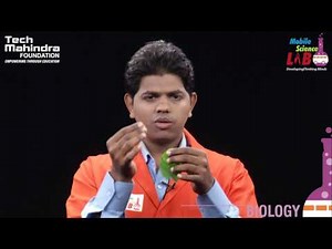 Slide Preparation for Microscope