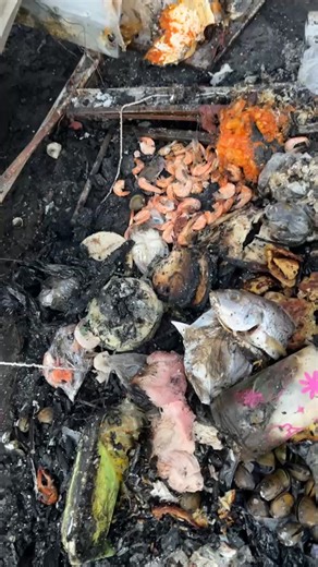 Noticiero Costa del Sol sv on Reels