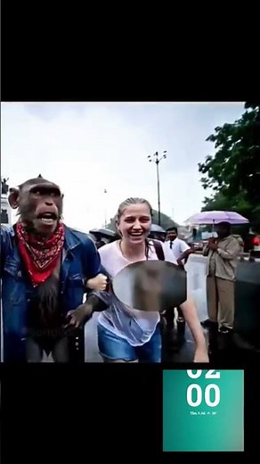 ai monkey blogger#trending