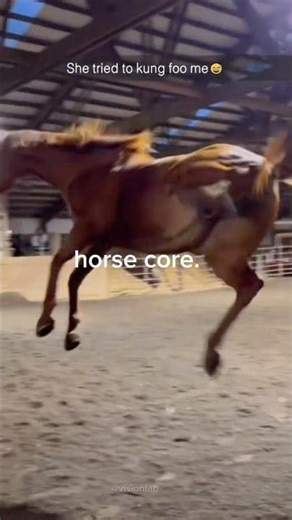 your horse is BROKEN (watch until the end💀)#horse #animals #shorts #nature