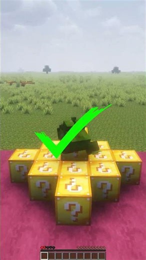 Minecraft Survival Race