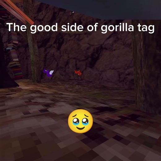 The good side 🥹🥹 #viral #memes #nostalgia #gorillatag
