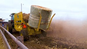 3.1K views · 37 reactions | With the Vermeer BPX9010 bale processor, Brad Pollema can take full advantage of the day — even when winter cuts the hours of light short. See how it helps him bed his 6,500-head cattle operation: https://bit.ly/3TNX0pg | Vermeer Agriculture | Facebook