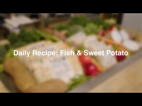 Fish and Sweet Potato Recipe for Dogs | JustFoodForDogs