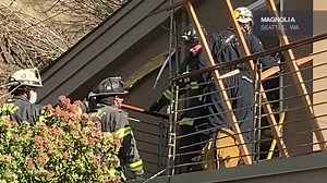 13K views · 568 reactions | Sammy, a 3-year-old black Labrador mix,...