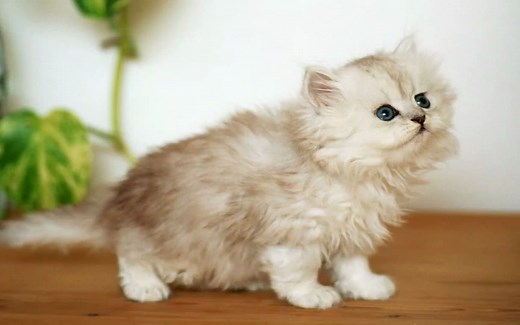 电子科技大学839自动控制原理考研专业课真题资料【校园帮考研】