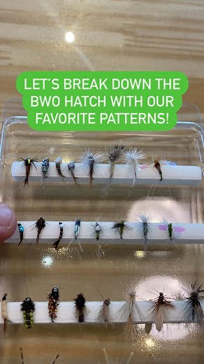 Let us break down the late season BEO Mayfly Hatch for you by life-stage and recommended fly pattern! Each life stage of a hatch is a different course in the mail that the fish are going to be eating throughout the day! For our BEOs, we are fishing the aquatic, nymph life stages (juju baetis and pheasant tails in sz 20) and we’re fishing these through the late morning until they start to emerger. For our emerging nymphs I like a chocolate thunder or rs2. As they transition at the surface of the 