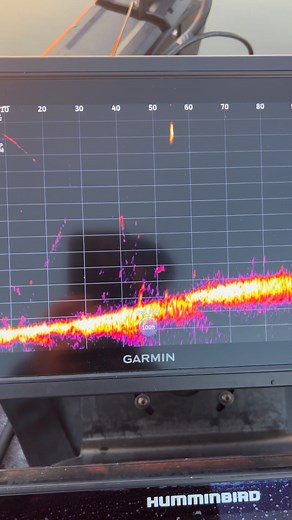 59 reactions · 23 comments | The #livescope shows everything | Lance Duff | Facebook