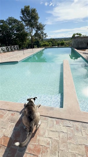 Cómo Evitar el agua verde de tu Piscina | Super Cloración con la App Calculadora para Piscinas ¿Tu piscina se está poniendo verde y turbia por las lluvias? 💧 En este video te muestro el mantenimiento completo de una piscina de campo que empezó a llenarse de algas y manchas verdes en paredes y fondo. 👉 Paso a paso aprenderás: ✔️ Cómo identificar cuando el agua de tu piscina comienza a volverse verde. ✔️ Cómo hacer una super cloración en piscinas de manera correcta. ✔️ Cómo usar la app Calculado