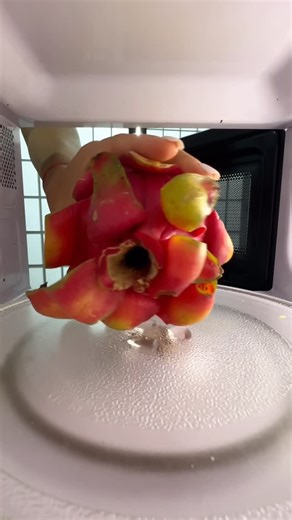 Microwave Experiments on Instagram: "Dragon fruit. What’s next?"