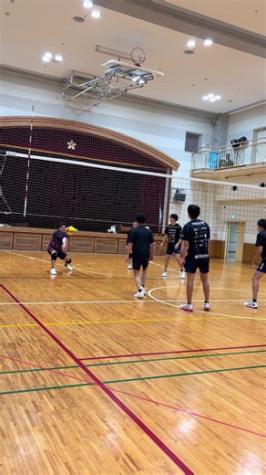 東京スリジエ バレーボールチーム｜千代田区の社会人男女チーム